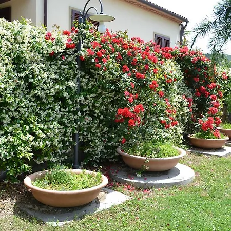 La Ghiraia Κατάλυμα σε φάρμα Santa Luce