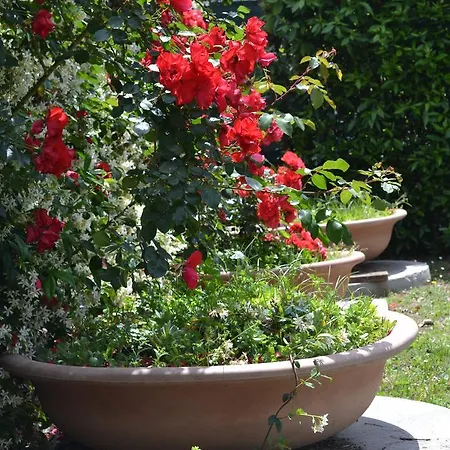 Κατάλυμα σε φάρμα La Ghiraia